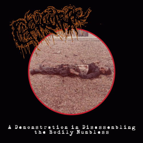 A Demonstration in Disassembling the Bodily Numbless